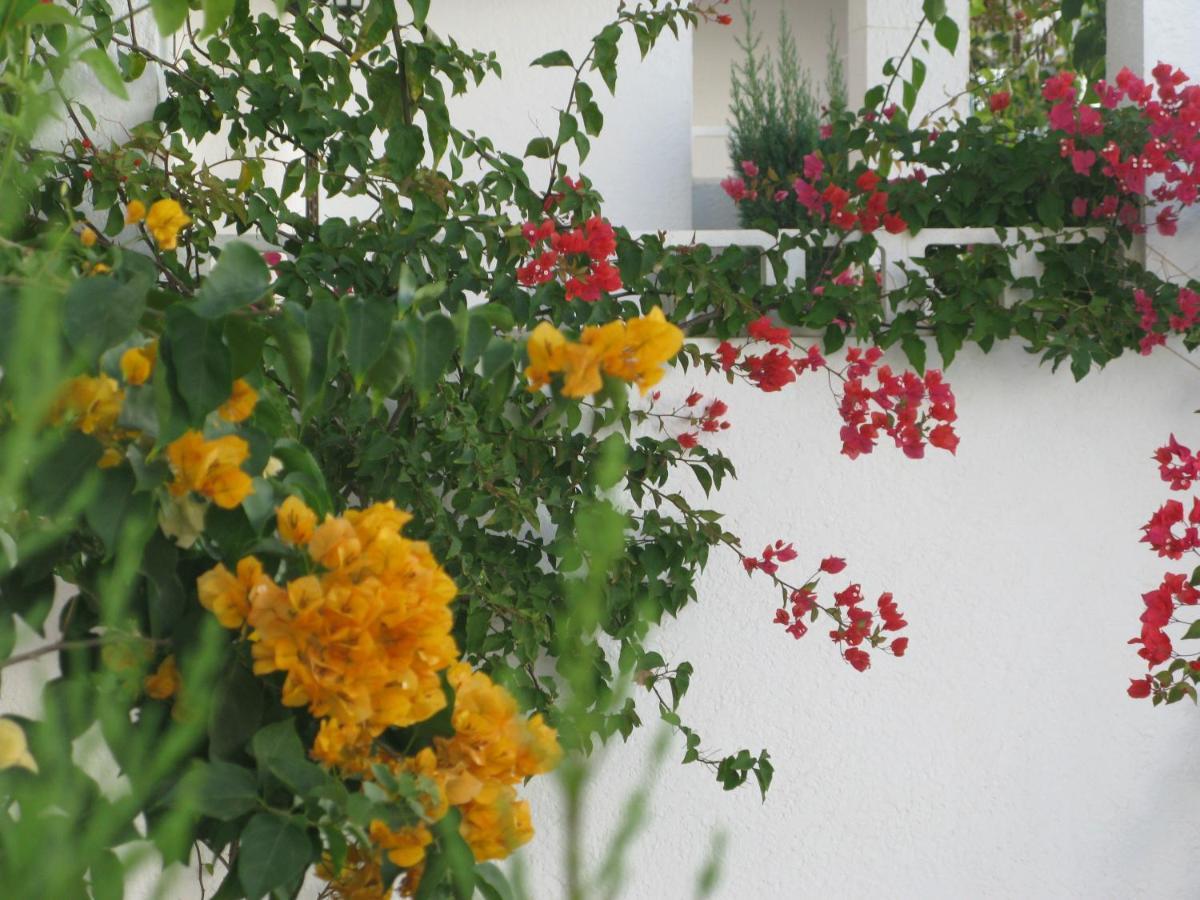 1St Line To The Beach & Sunshine In Mar De Pulpi San Juan de los Terreros Esterno foto